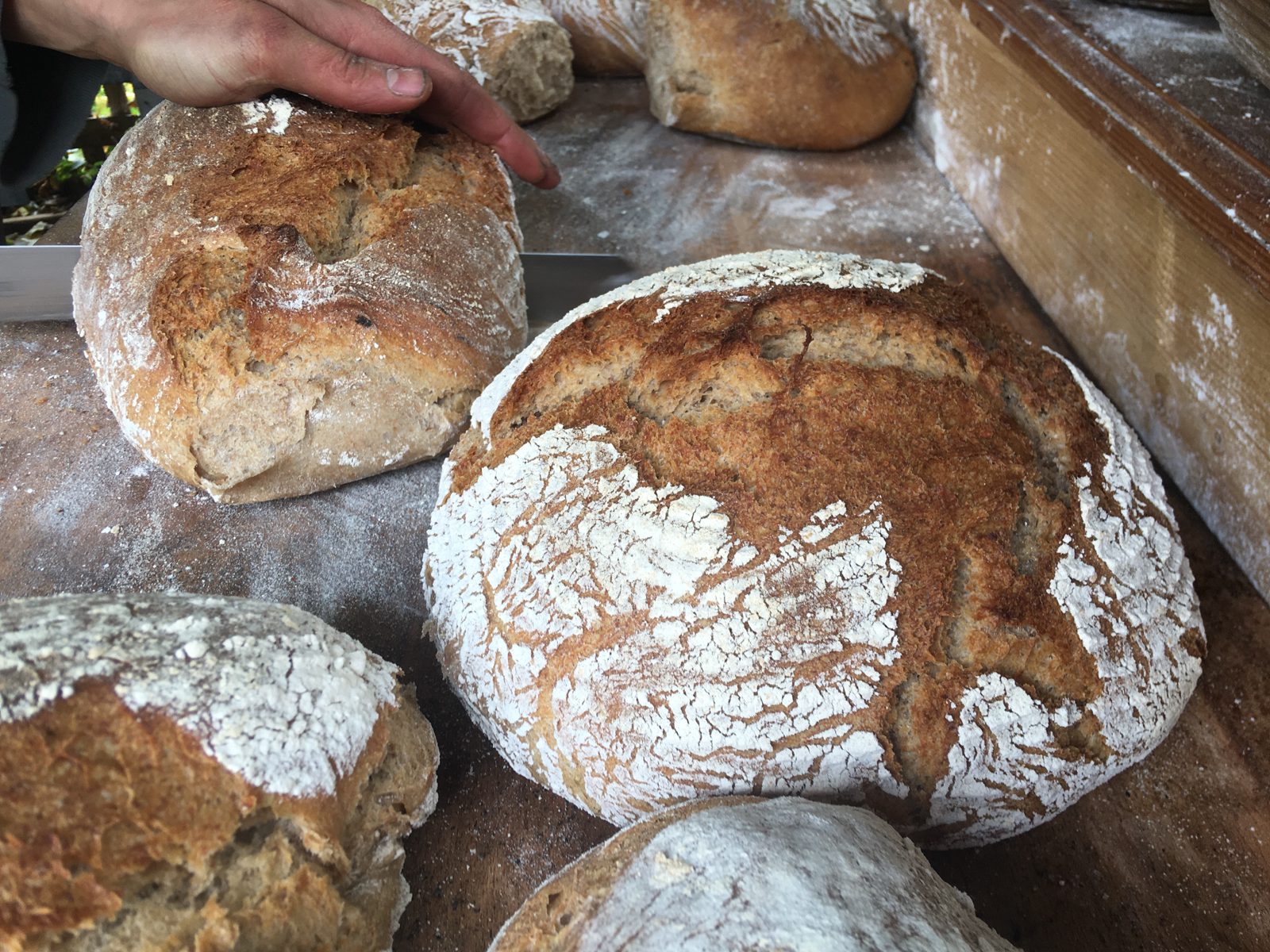 Holzofenbrot